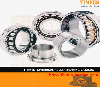 TIMKEN 22224CJW33