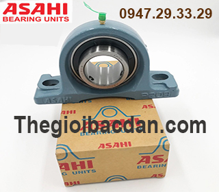 GỐI ĐỠ ASAHI - UCP - 313