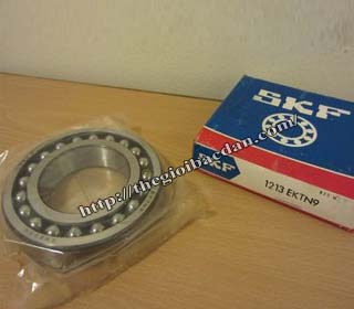 VÒNG BI SKF - 1213