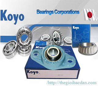 UK-312 KOYO