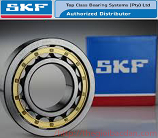 VÒNG BI SKF NF219E