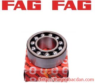 FAG 1223