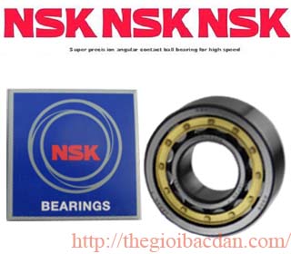 NSK NU215E