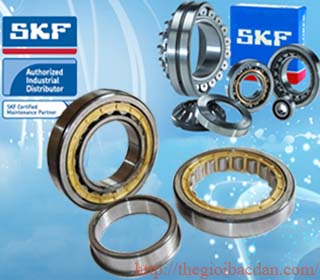 Vòng Bi SKF  Germany