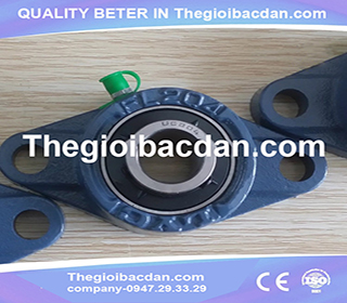 GỐI ĐỠ ASAHI - UCFL - 218