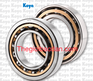 Koyo NUTR 305 