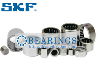 SKF HN5025