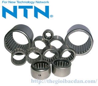 NTN HK0810