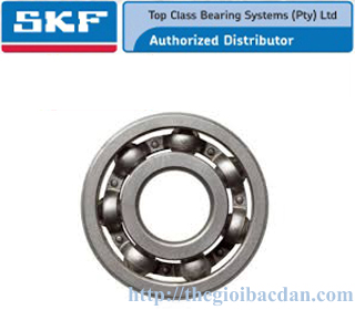 Vòng Bi Nhào SKF