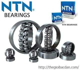 VONG BI NTN 1308