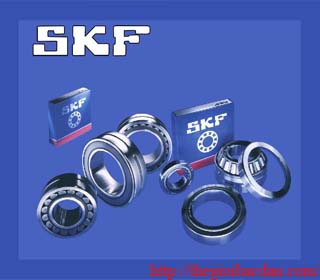 Vòng Bi  SKF