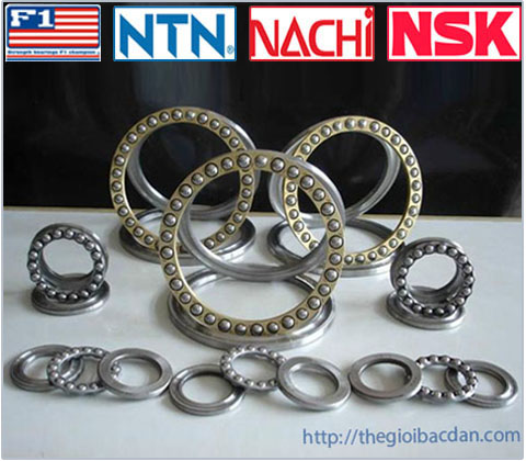 NSK 51215