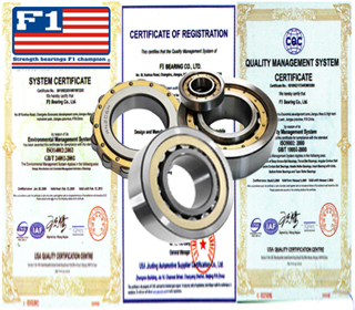 F1 - NF2209E
