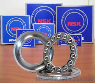 NSK 51117