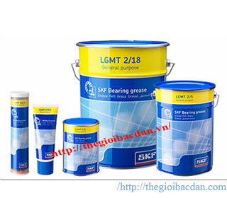 SKF LGMT2