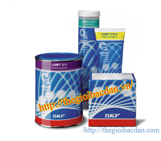 SKF VKG1/LGMT3