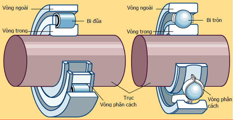 so-do-cau-truc-vong-bi-bac-dan
