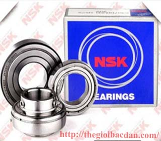 NSK 6002 ZZ