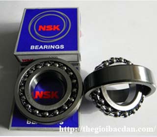 NSK 1310