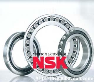 NSK 1217K