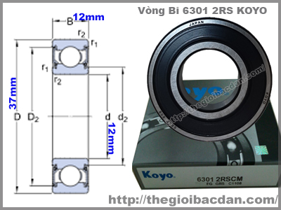 Vòng bi Bạc đạn 6301 chính hãng dùng cho bánh xe Dream