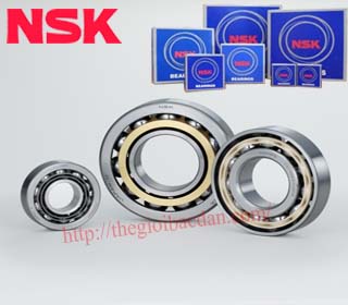 VÒNG BI NSK 7208